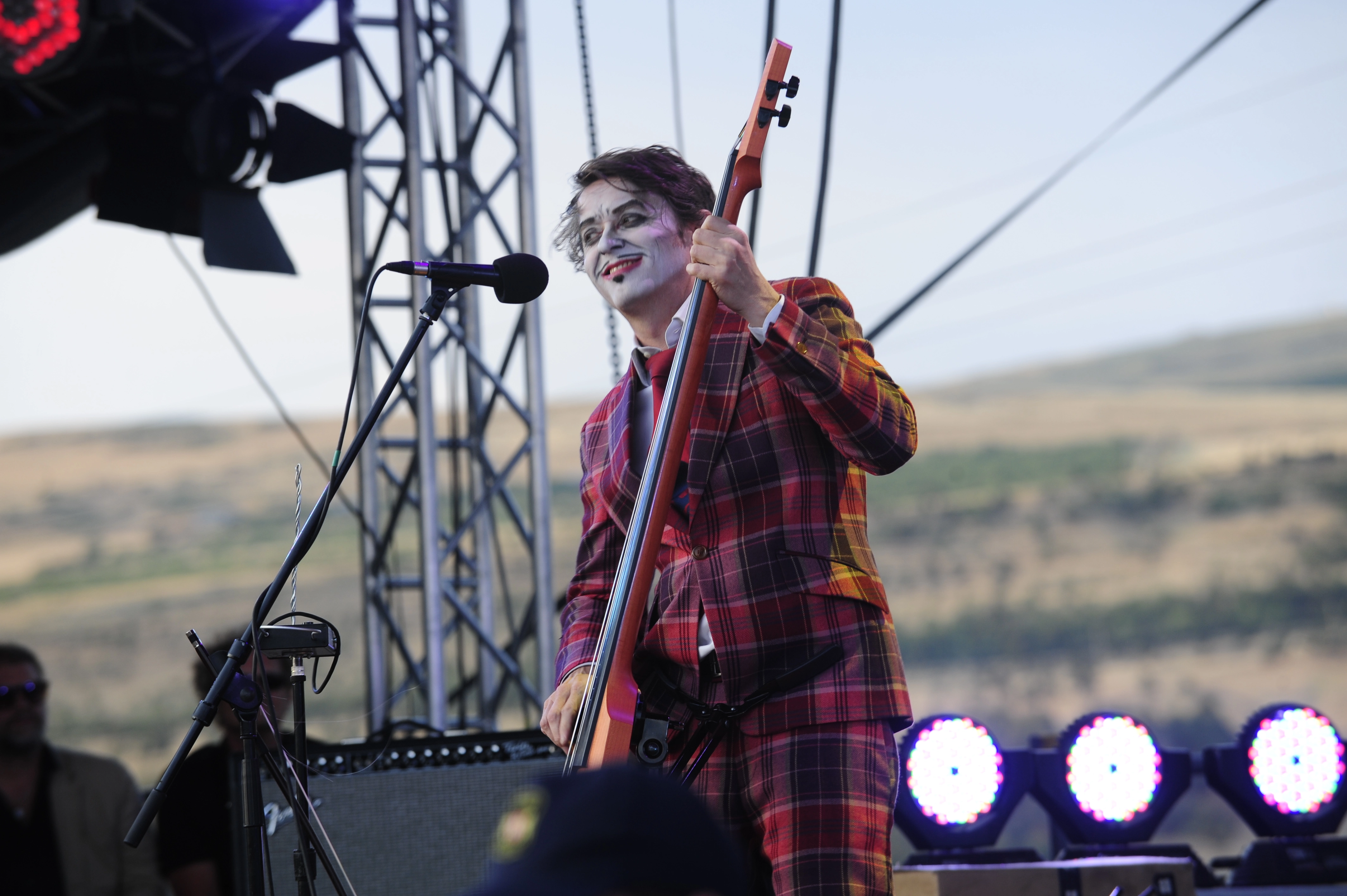 tiger lillies
